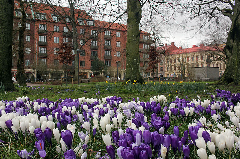 Halmstad