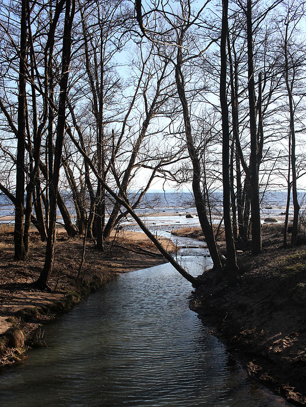 Halmstad