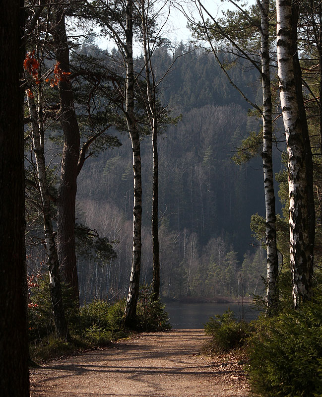Halmstad