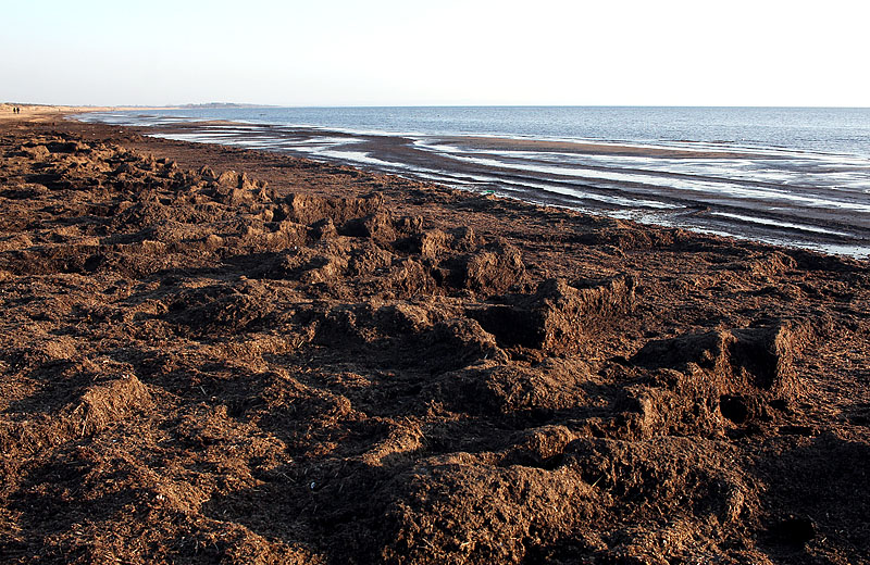 Halmstad