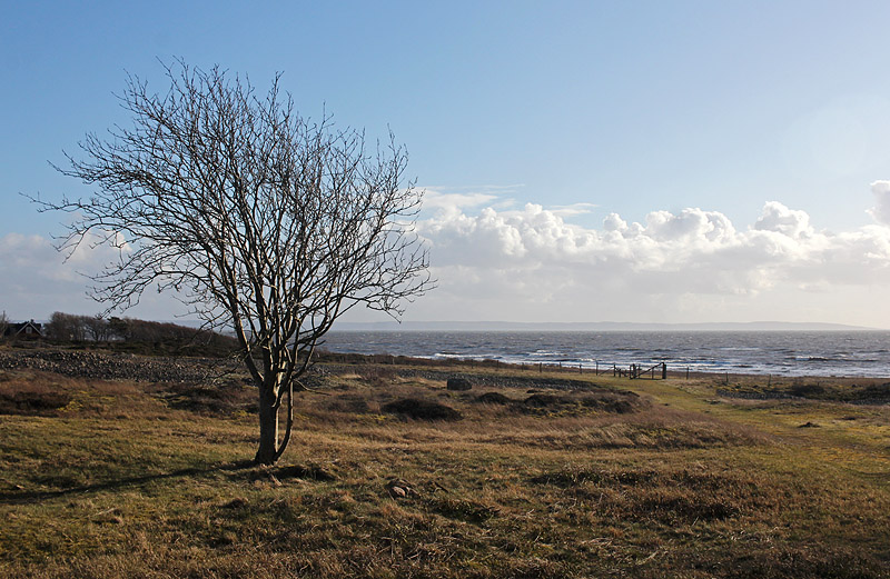 Halmstad