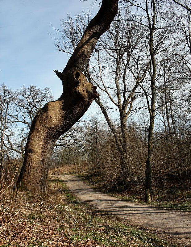 Halmstad
