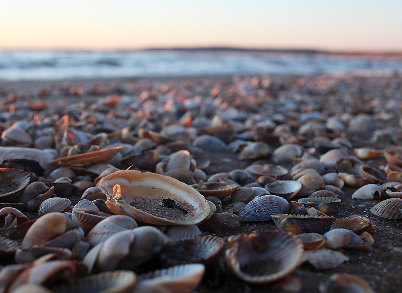 Halmstad
