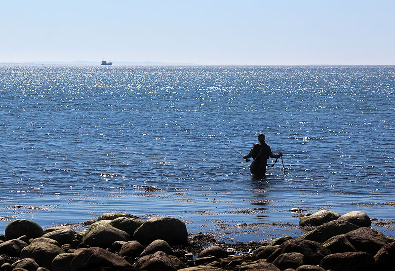 Halmstad