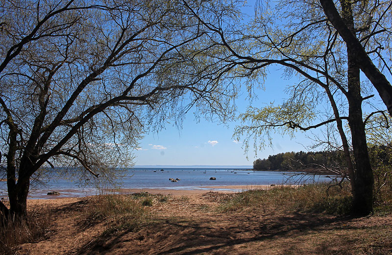 Halmstad