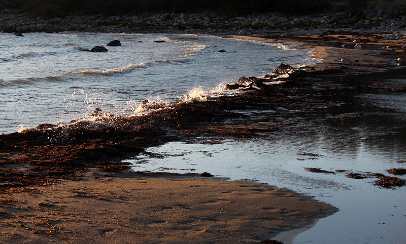 Halmstad
