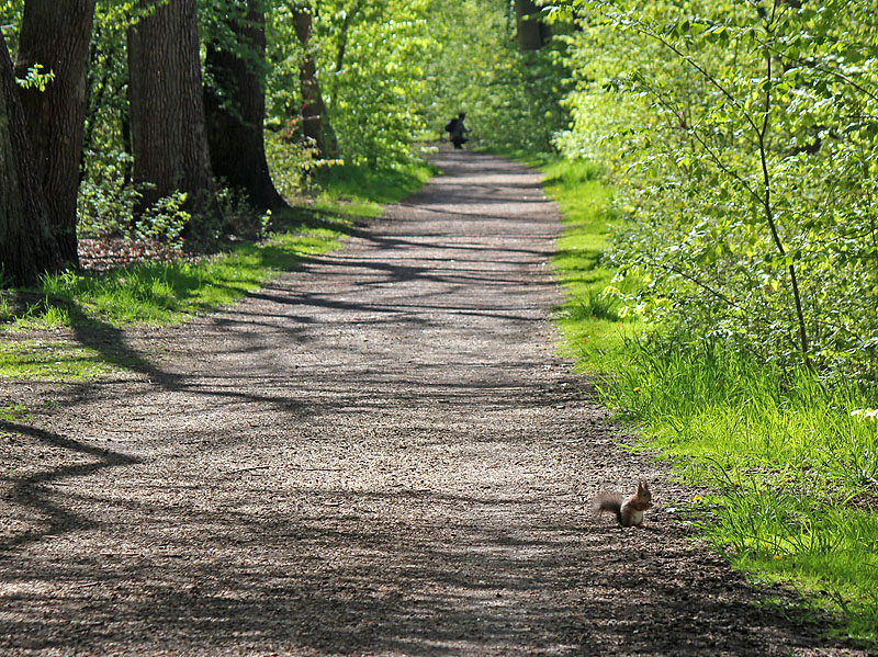 Halmstad