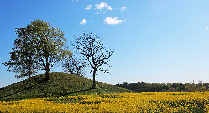 Halmstad