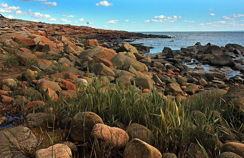 Halmstad