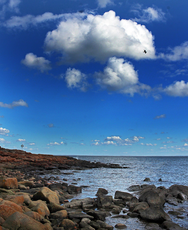 Halmstad