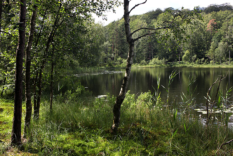 Halmstad
