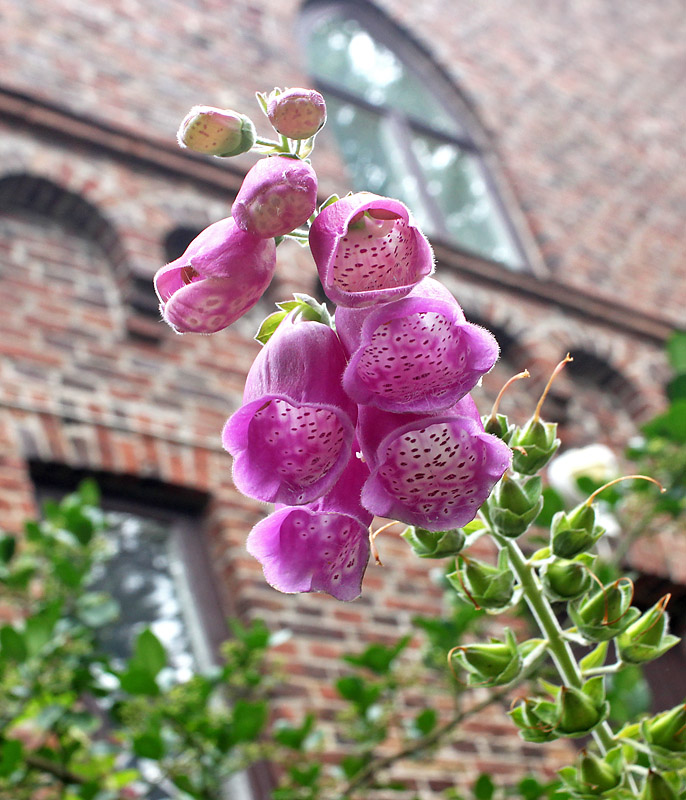 Halmstad
