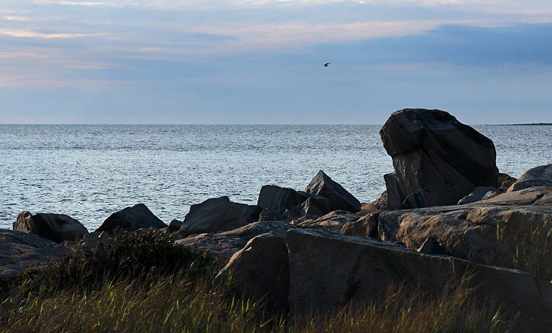 Halmstad