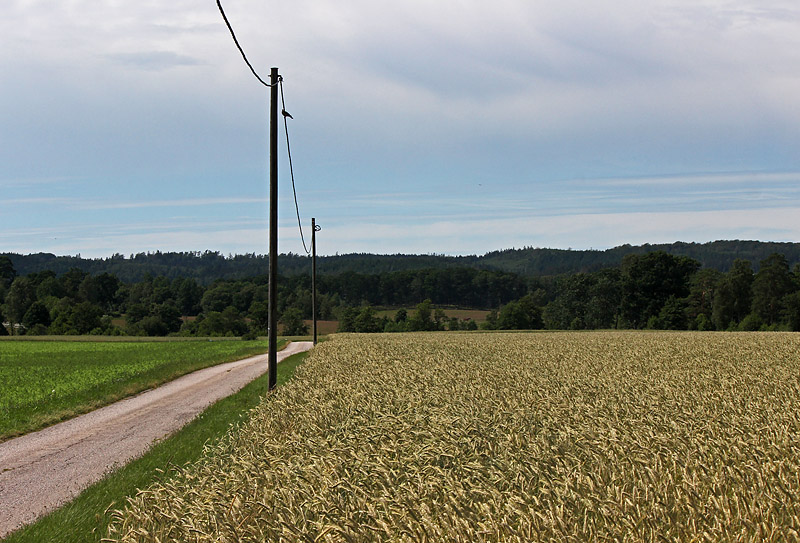 Halmstad