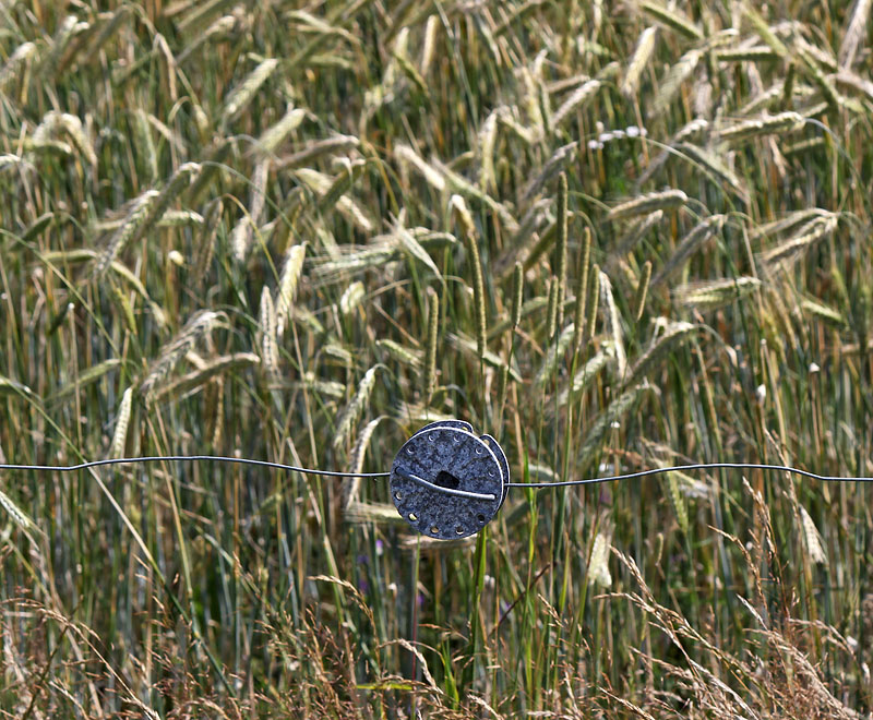 Halmstad
