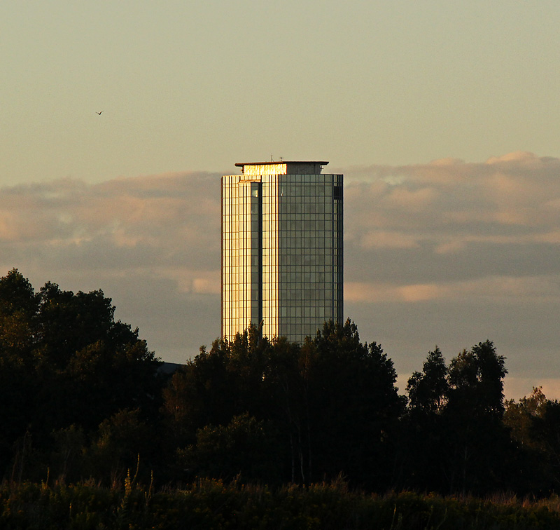 Halmstad