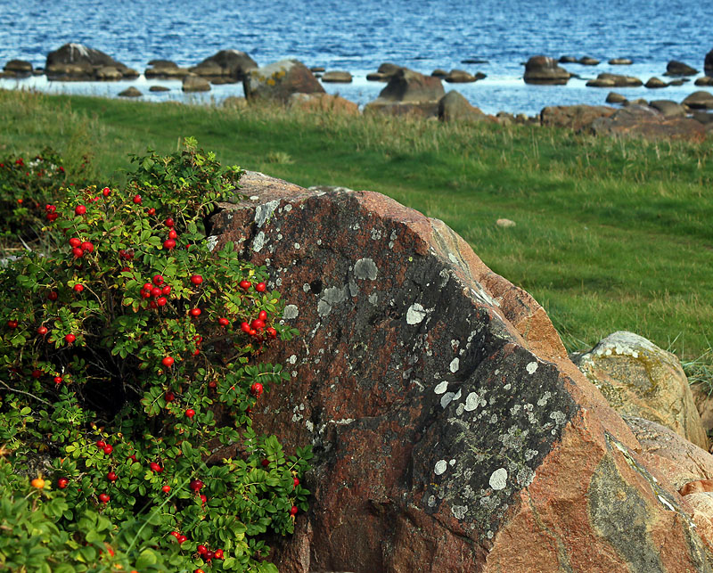 Halmstad