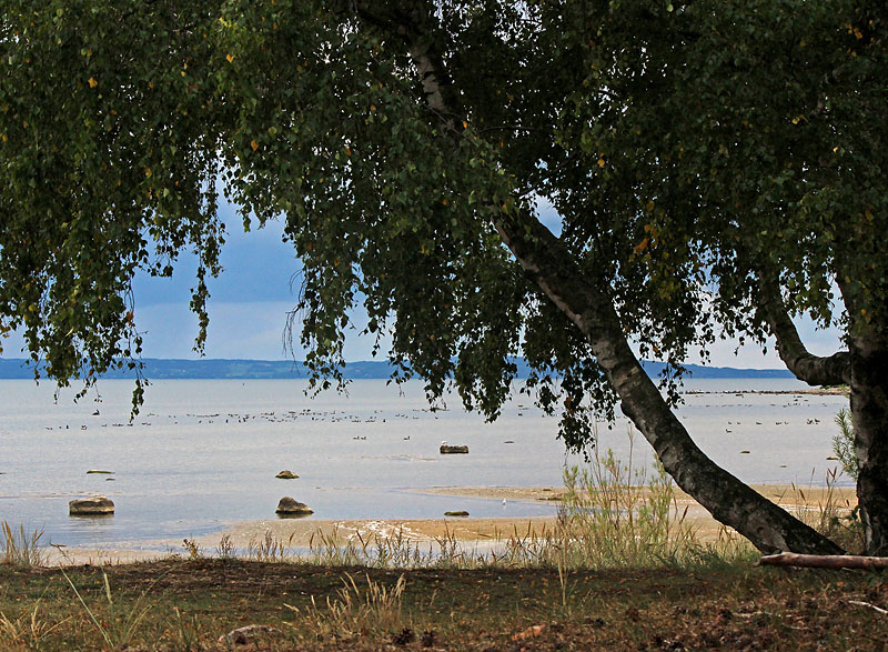 Halmstad