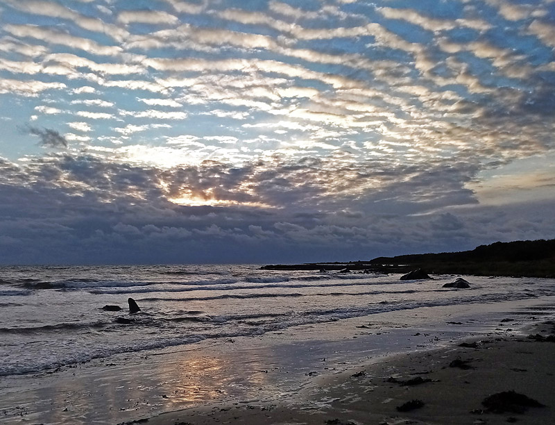 Halmstad