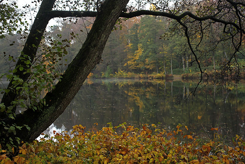 Halmstad