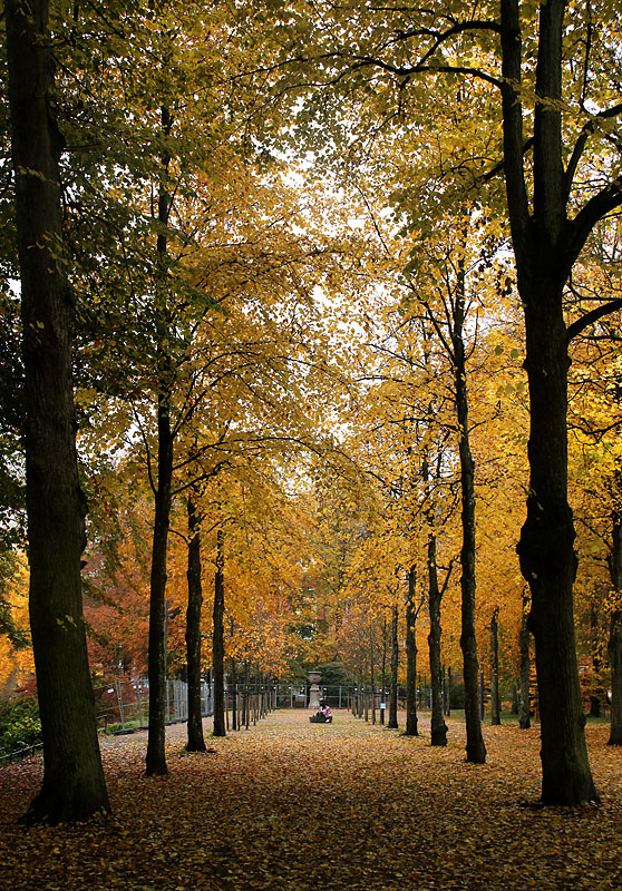 Halmstad
