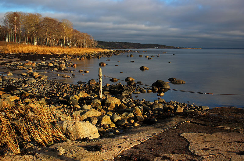Halmstad