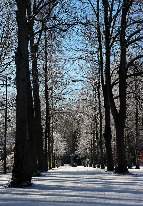 Halmstad