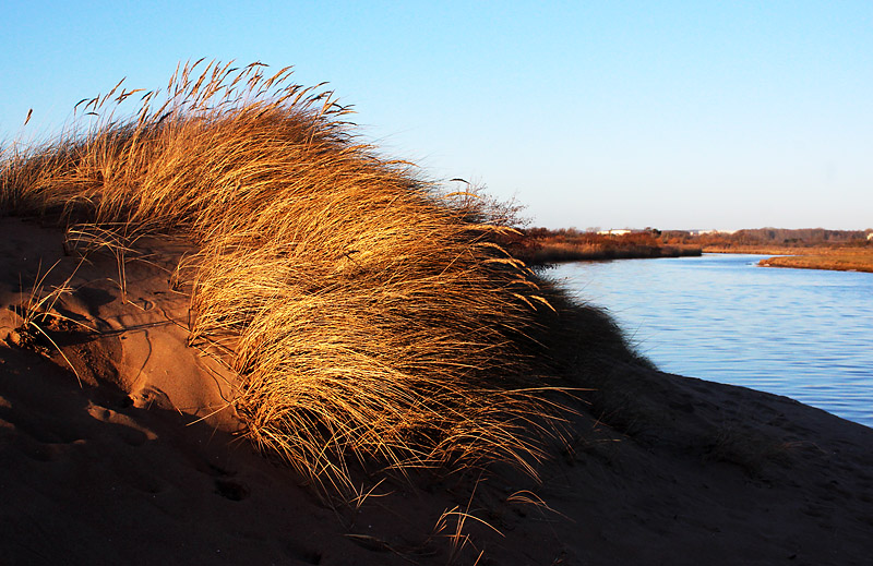 Halmstad