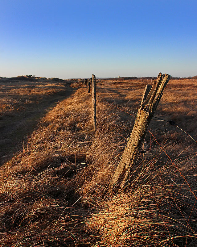 Halmstad