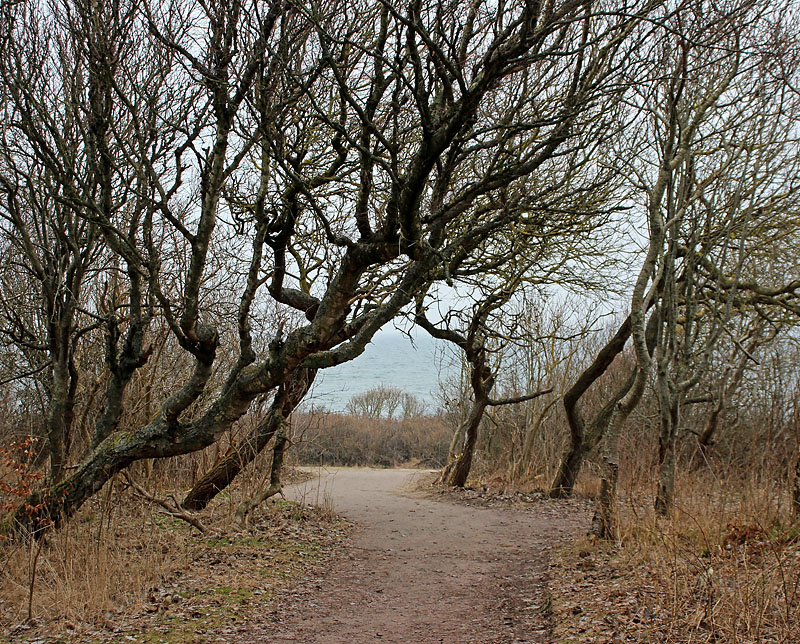 Halmstad
