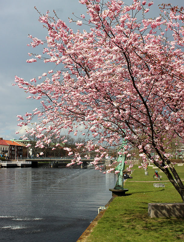 Halmstad