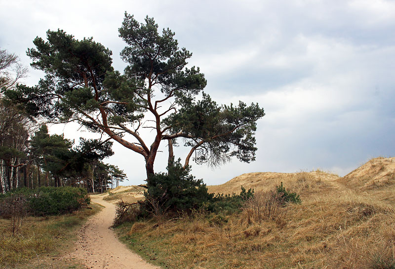 Halmstad