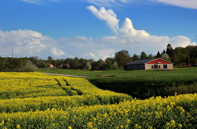 Halmstad