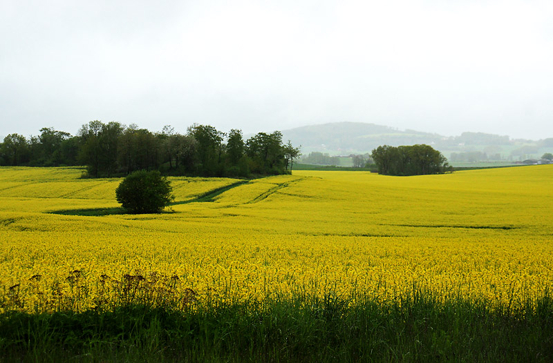Halmstad