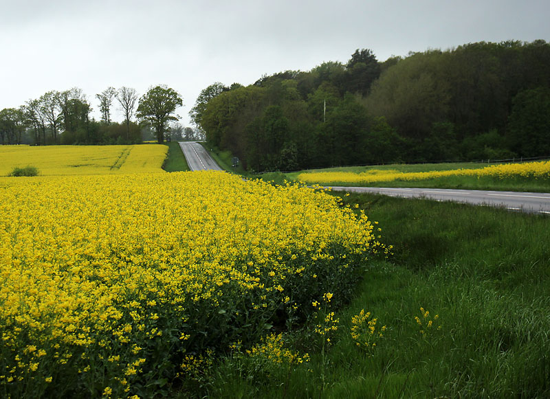 Halmstad
