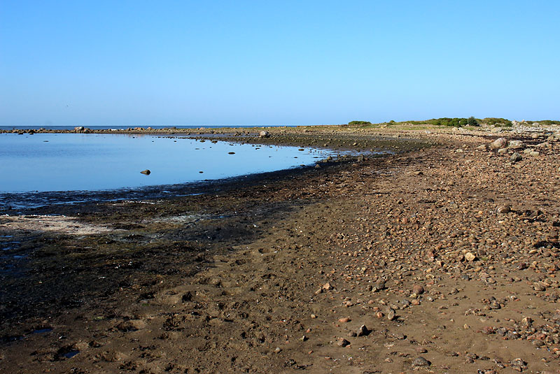 Påarp