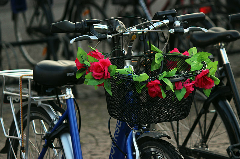 Halmstad