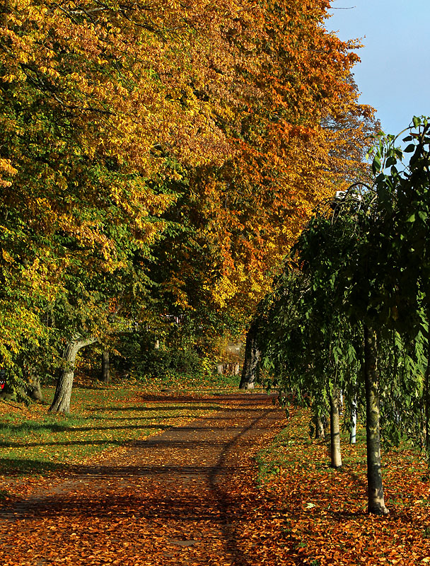 Halmstad