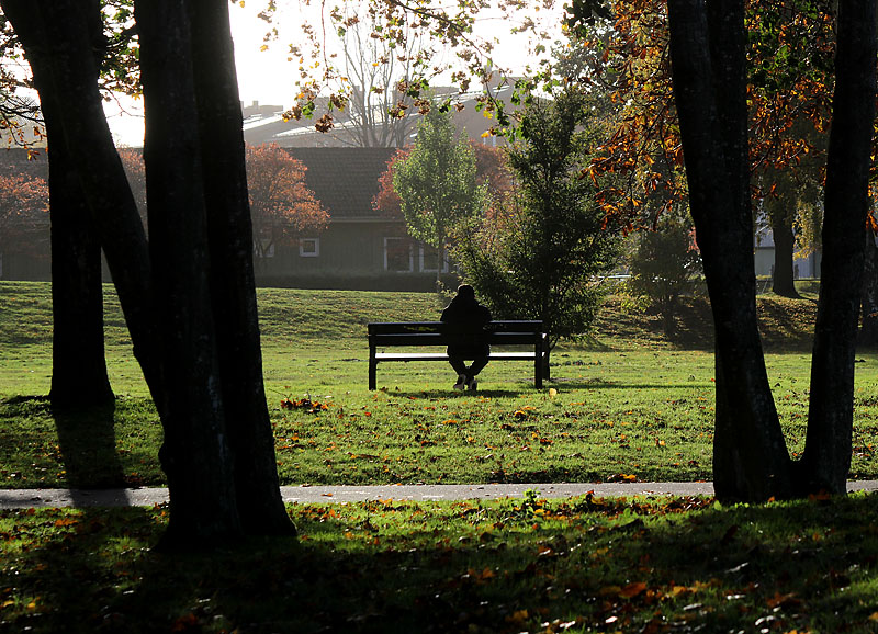 Linehedsparken