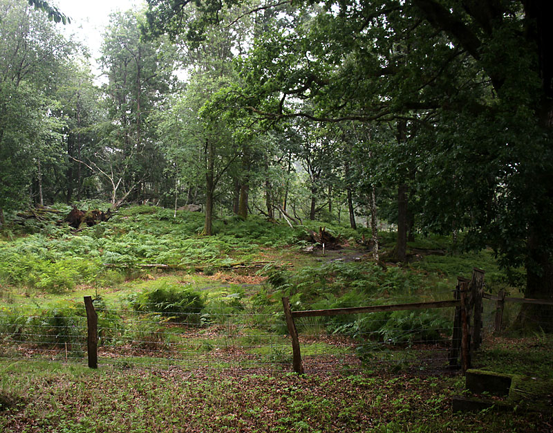 Biskopstorp