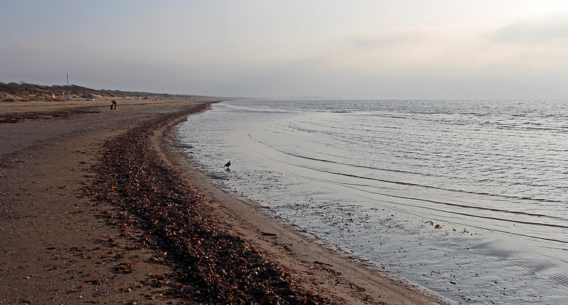 Halmstad