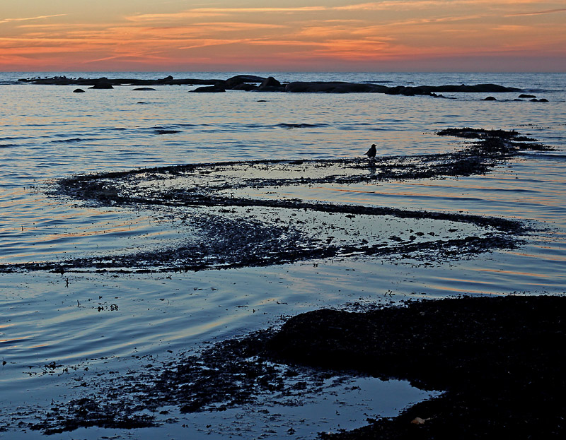 Halmstad