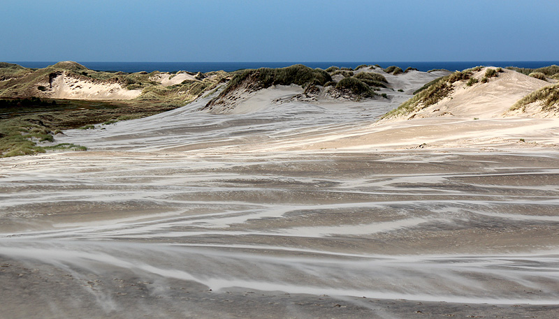 Råbjerg mile