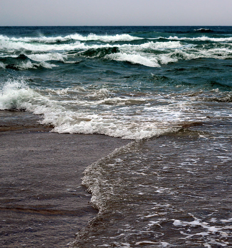 Grenen