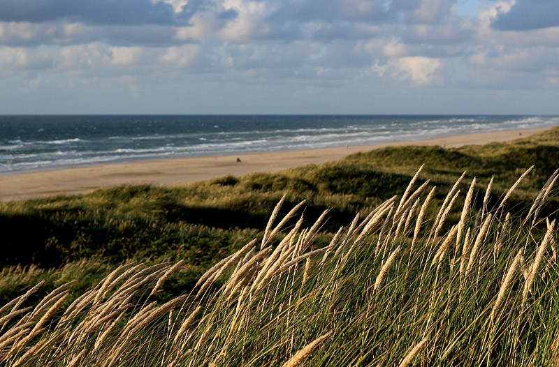 Grönhöj strand
