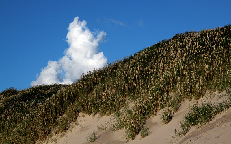 Grönhöj strand