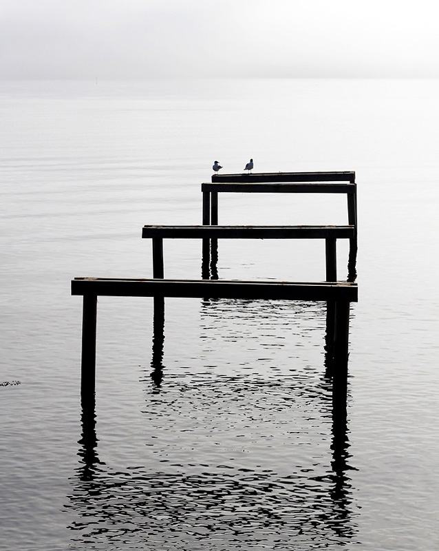 Danmark