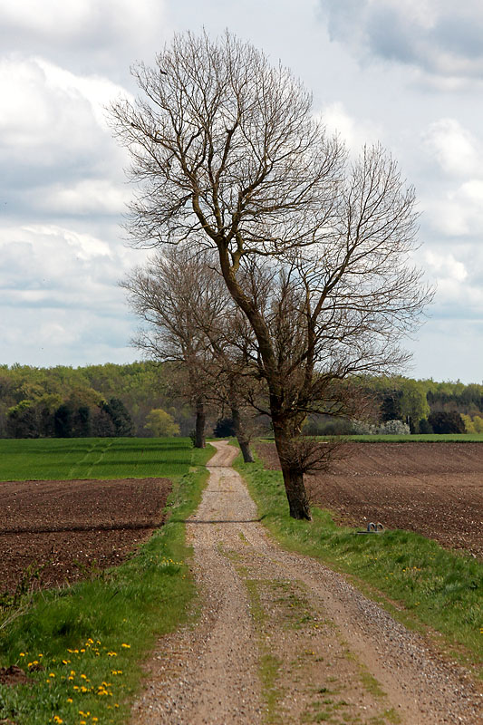 Danmark