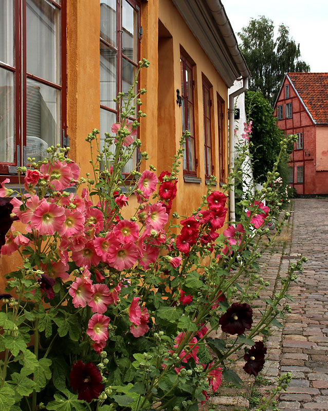 Danmark