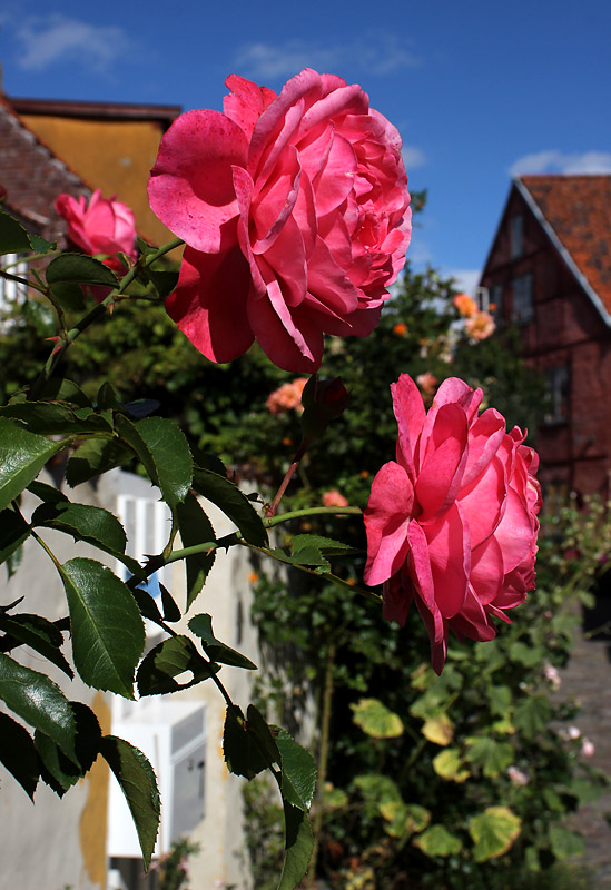 Helsingör